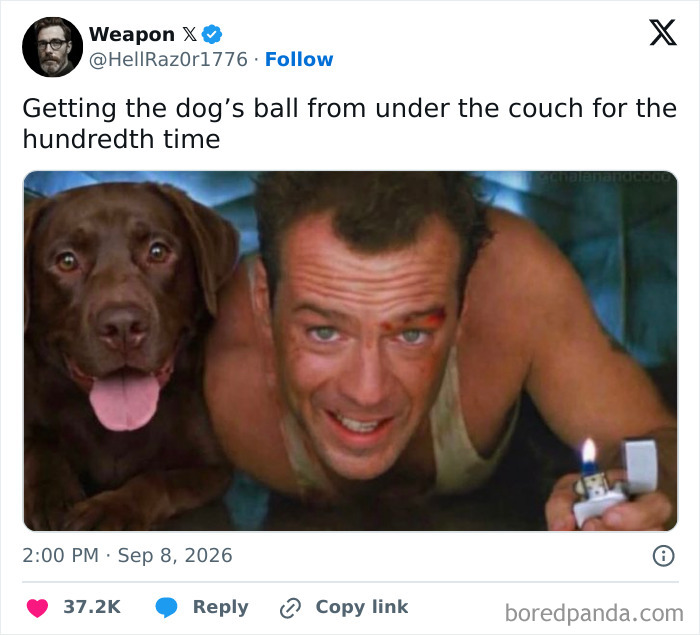 Funny tweets about getting a dog ball under the couch