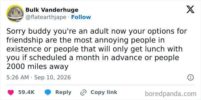 Funny tweets about adult friendship options