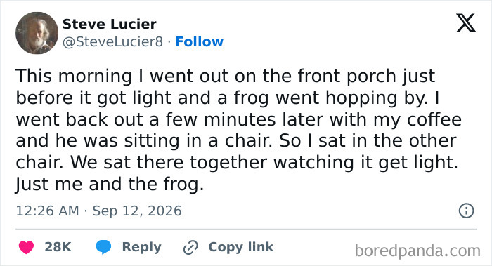 Funny Tweets sharing a heartwarming morning story about sitting with a frog.