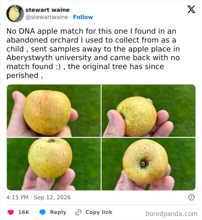 Interesting Tweets about finding a unique apple with no DNA match.