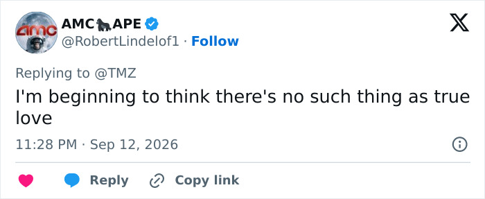 Tweet from AMC APE account reflecting on Alan Ritchson's split, questioning the existence of true love. Tweet from AMC APE account reflecting on Alan Ritchson's split, questioning the existence of true love.