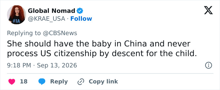 A tweet suggesting a surrogate baby be born in China, avoiding US citizenship, revealing a disturbing truth.