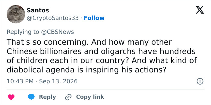 Tweet about surrogate baby truth: A user named Santos tweets concern about Chinese billionaires and children.
