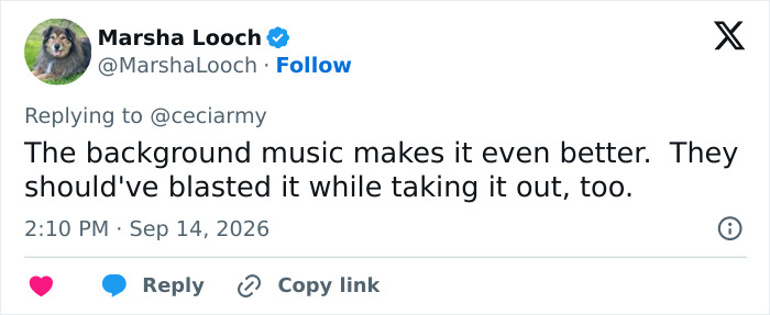 A screenshot of a social media comment by Marsha Looch, praising the background music in the fence builders video. A screenshot of a social media comment by Marsha Looch, praising the background music in the fence builders video.