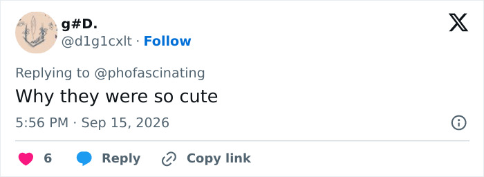 A tweet from @d1g1cxlt reacting to Adam Driver's plastic surgery speculation, saying Why they were so cute.