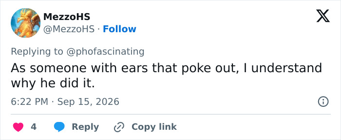 Netizen comment on Twitter expressing understanding for Adam Driver's plastic surgery due to poking ears.