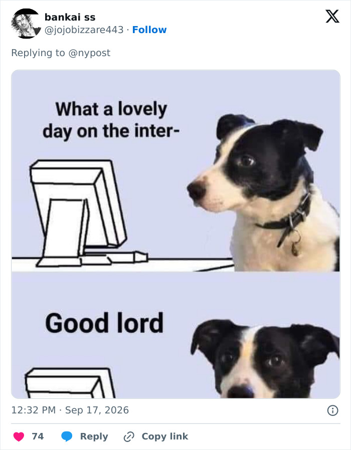 A meme of a dog looking at a computer, reacting to news about a married mom and son charged.