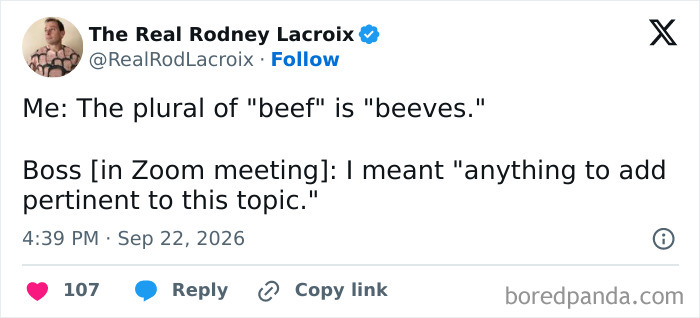 Funny tweets from a Zoom meeting about the plural of beef