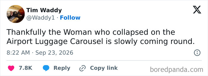 Funny tweets about a woman on an airport luggage carousel
