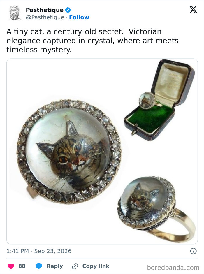 Victorian-era cat ring showcasing history and culture jewelry design