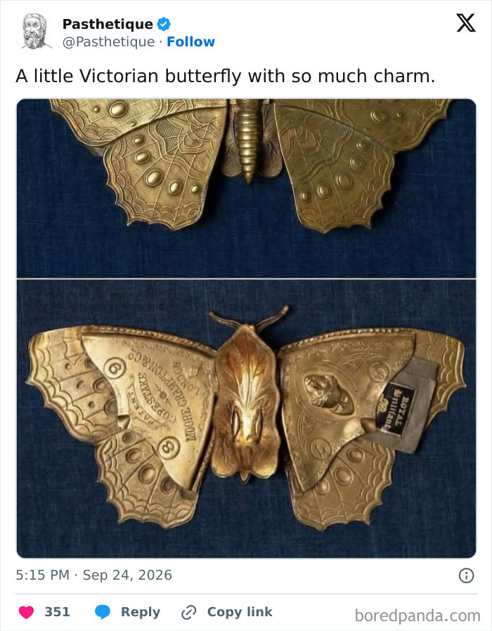 Detailed bronze butterfly case, showcasing aesthetic art and historical design elements on a blue background.