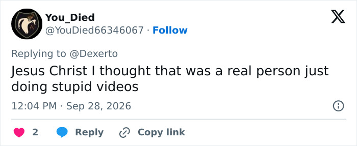 An online comment expressing surprise that a mysterious influencer making bizarre videos is not a real person.