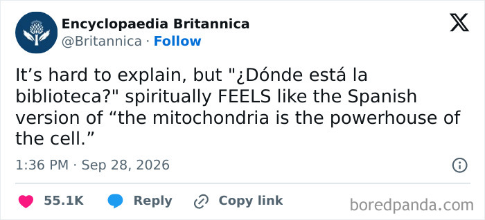 Funny tweets shared on X comparing Spanish phrases to biology class.