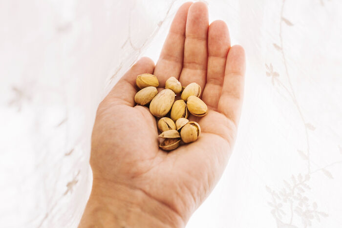 A hand holding pistachios, symbolizing potential mess or allergies in airline seating pure nightmare seatmate stories.