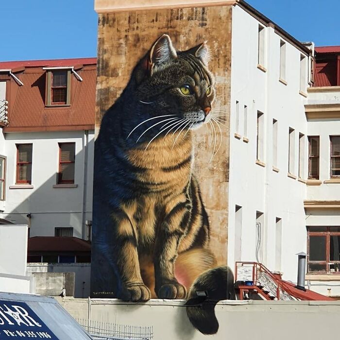 Massive cat mural as stunning street art on a building, making streets real museums.