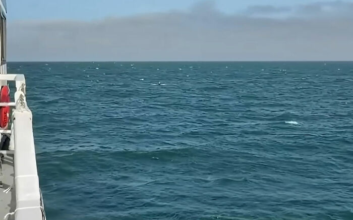 15YO Alaskan Boy Who Survived 62 Hours At Sea Makes Chilling Revelation After Getting Rescued 15YO Alaskan Boy Who Survived 62 Hours At Sea Makes Chilling Revelation After Getting Rescued