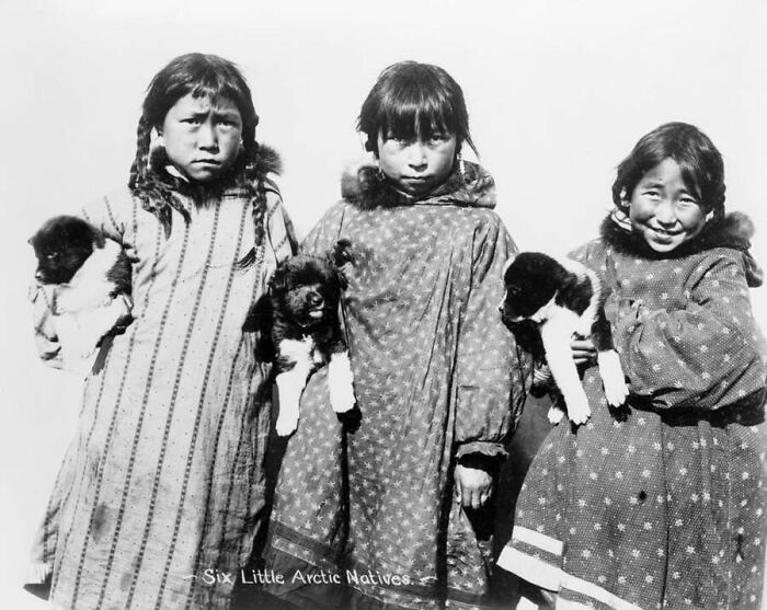 Three young Arctic native girls holding small puppies in this old photos of animals selection