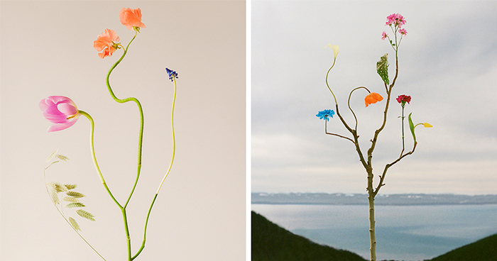 26 Intricate Flower Compositions That Resisted Ephemerality Through Jennifer Latour’s Photography