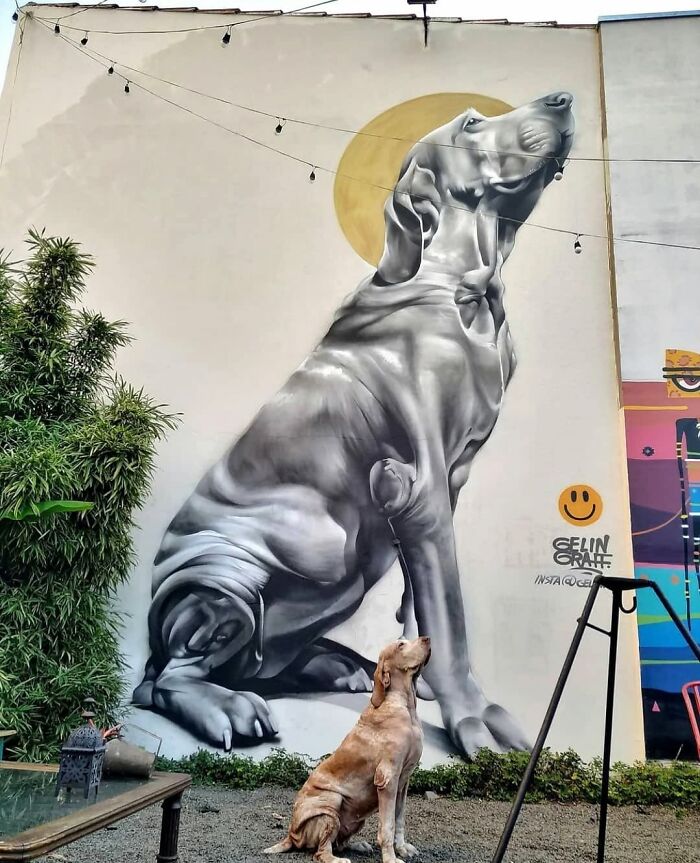 A dog-shaped street art mural on a building, with a real dog sitting beneath it, looking up at a yellow circle.