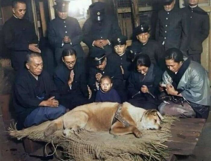 Old photos of animals showing people in Japan gathered around Hachiko the dog