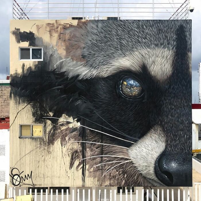 A close-up street art mural of a raccoon's face on a building, with its eye reflecting a cityscape.