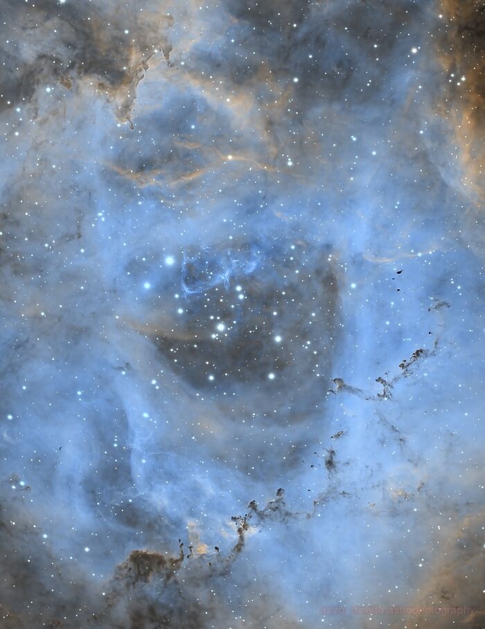 Caldwell 49 - The Rosette Nebula