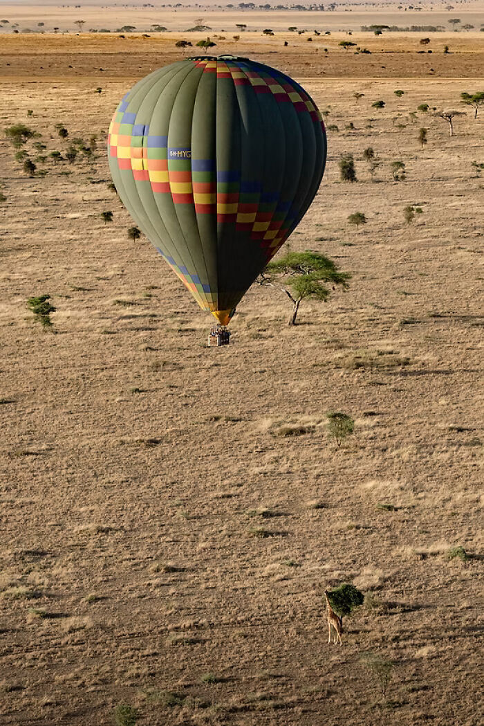 A hot air balloon floats over a dry landscape with a giraffe, showcasing remarkable places and people.
