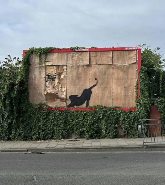 A black cat stretching, depicted in compelling street art on a wooden billboard covered in ivy.