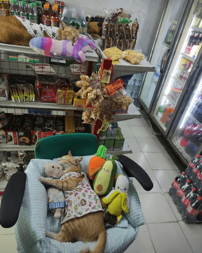 An orange cat sleeping comfortably with stuffed toys in a chair, showcasing hilarious cats at work.
