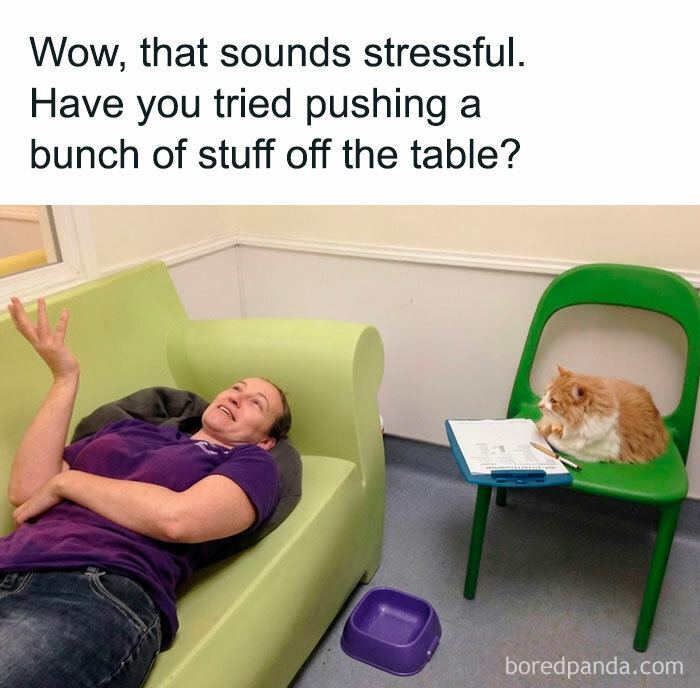 Relatable animal memes show a cat as a therapist, listening intently to a person on a couch.