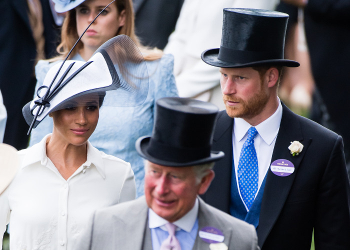 Meghan, Harry, and King Charles at an event, highlighting the ongoing tension over their private citizens status. Meghan, Harry, and King Charles at an event, highlighting the ongoing tension over their private citizens status.