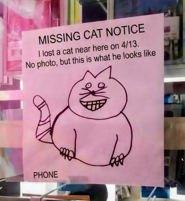 A chaotic sign spotted in the wild: a hand-drawn missing cat notice with a cartoon cat.