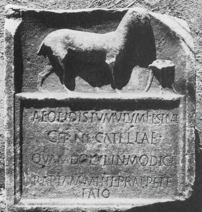 An ancient Roman tombstone for a dog, from a collection of old photos of animals.