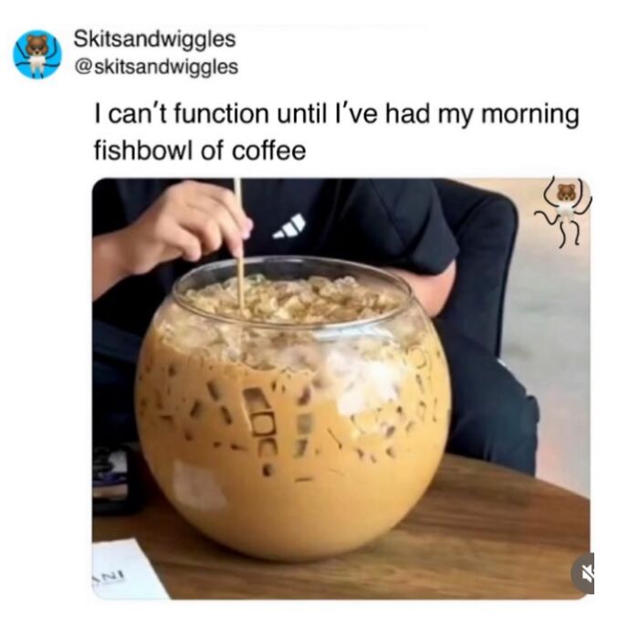 Random-Humorous-Memes
