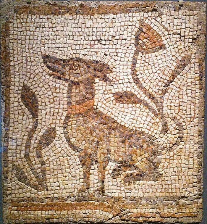 An ancient Roman mosaic depicting a dog, offering a view of the past