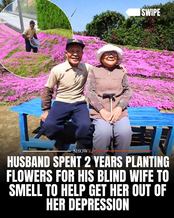 Wholesome stories: a loving husband planted a field of flowers for his blind wife.