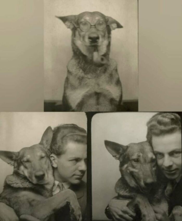 A photo booth series showing a man posing with his dog, an old photo of animals