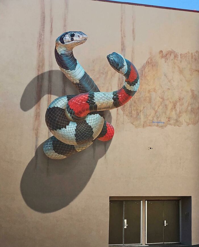 Realistic street art of a colorful coral snake coiling up the side of a building, casting a large shadow.