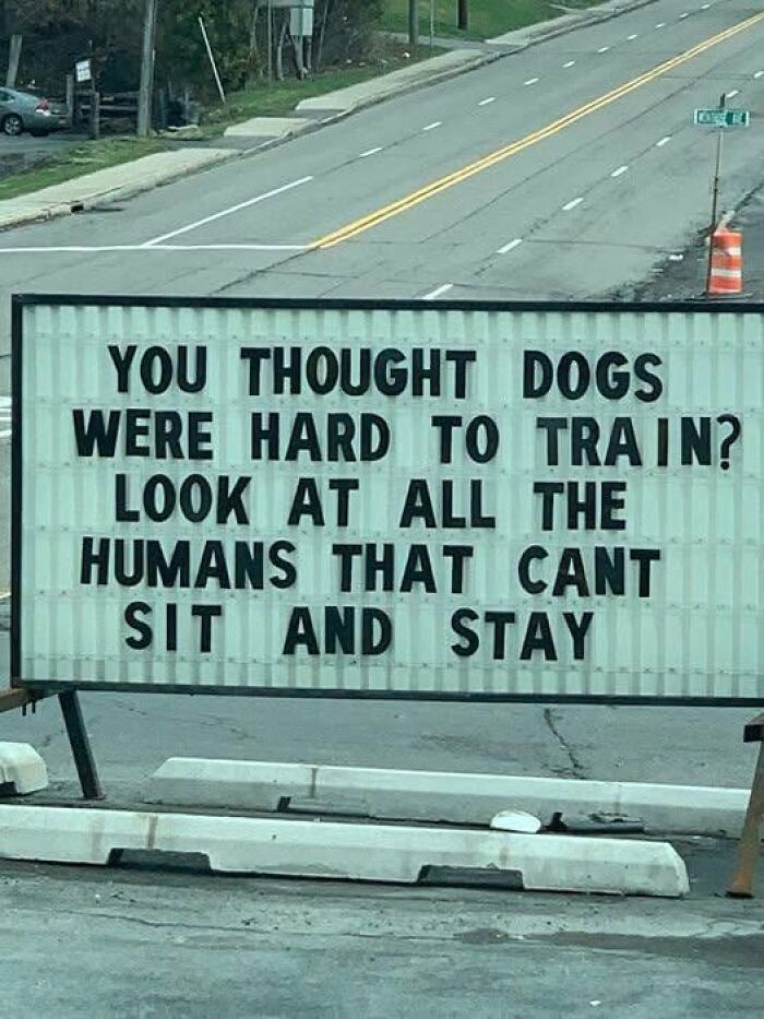A silly-funny sign on the side of the road, I thought dogs were hard to train, look at all the humans that cant sit and stay.