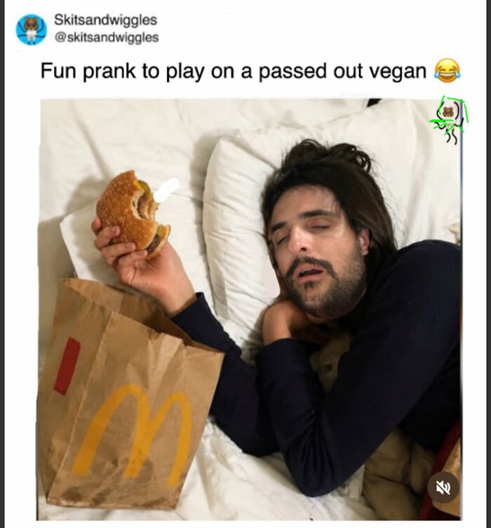 Random-Humorous-Memes