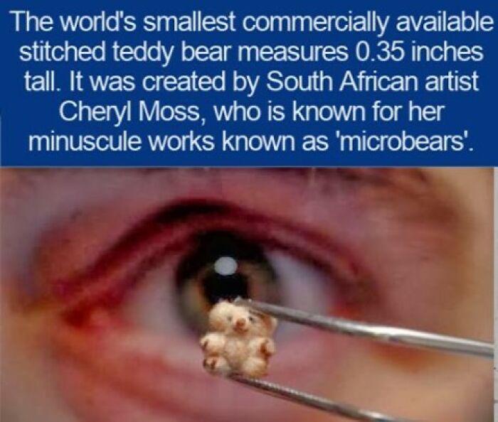 A tiny microbear held with tweezers in front of an eye, depicting interesting facts about miniatures