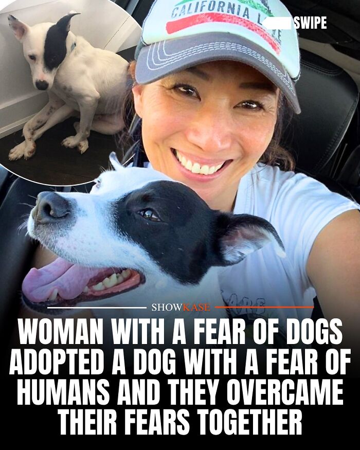 A smiling woman with her adopted dog, showcasing wholesome stories about overcoming fears together.