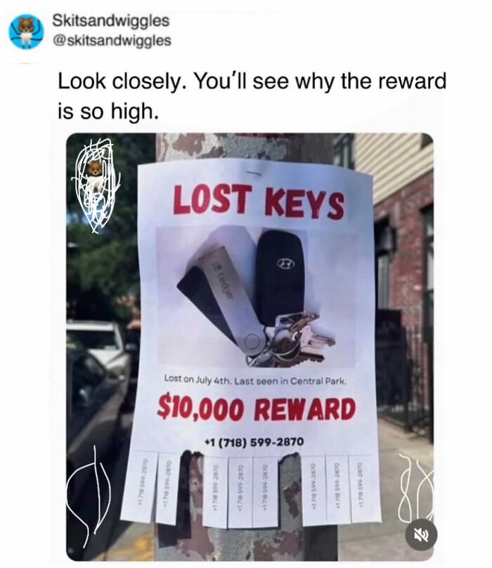 Random-Humorous-Memes