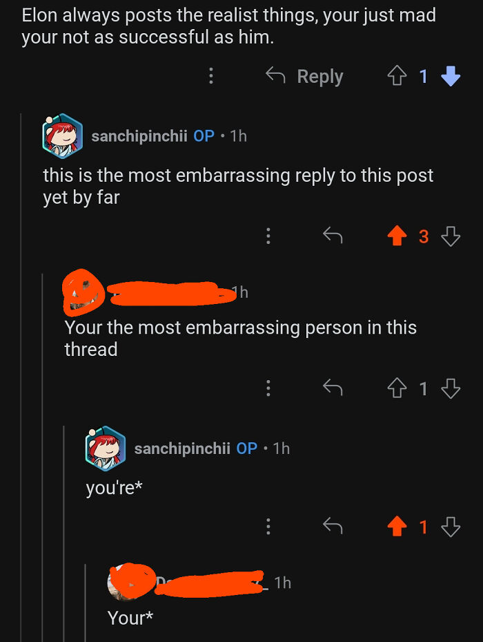 Online argument shows embarrassment over grammar correction in social media comments