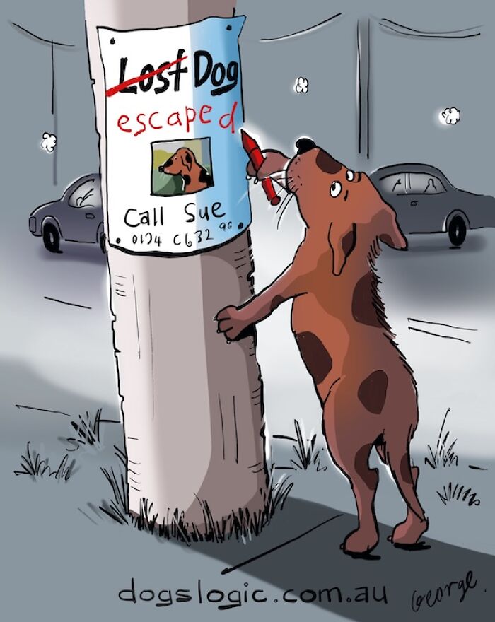 A brown dog writing escaped on a lost dog poster, a funny example of dog logic