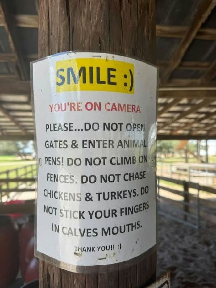A silly sign warns visitors at an animal pen not to open gates or climb fences, and not to chase chickens or stick fingers in calves mouths.
