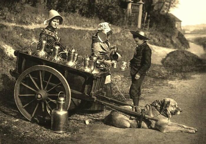 Vintage style photo of a dog pulling a milk cart, showcasing historical old photos of animals