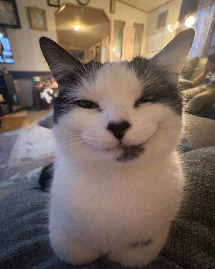 40 Adorable Animal Pics For Anyone Who Needs A Little Break From The Stress Of Everyday Life