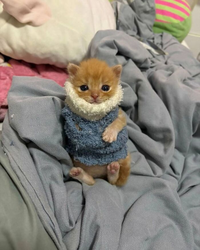 40 Adorable Animal Pics For Anyone Who Needs A Little Break From The Stress Of Everyday Life