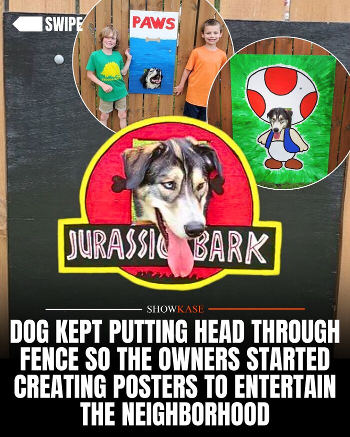 A dog looking through a funny Jurassic Bark fence cutout, part of wholesome stories to brighten your day.